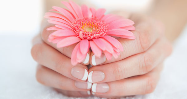 Core.Domain.Models.Image