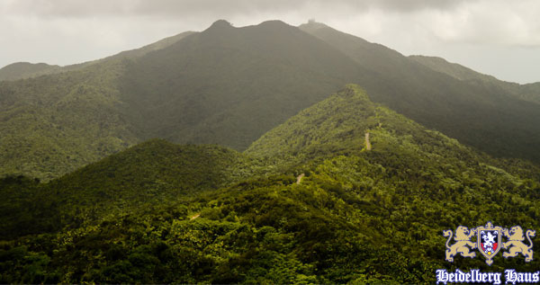 Core.Domain.Models.Image