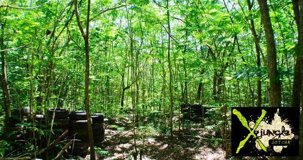 Core.Domain.Models.Image