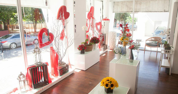 Core.Domain.Models.Image