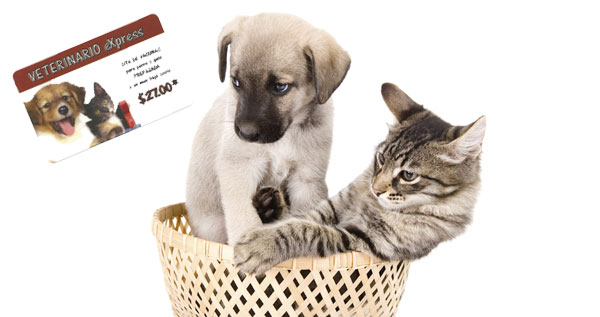 Core.Domain.Models.Image