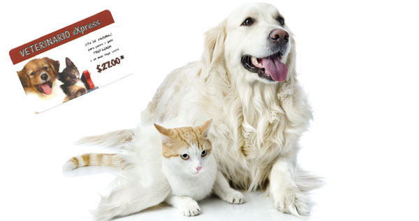 Core.Domain.Models.Image