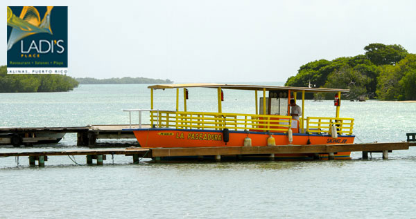 Core.Domain.Models.Image