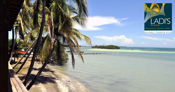 Core.Domain.Models.Image