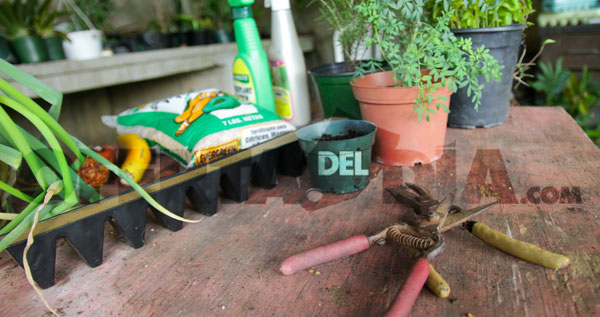 Core.Domain.Models.Image