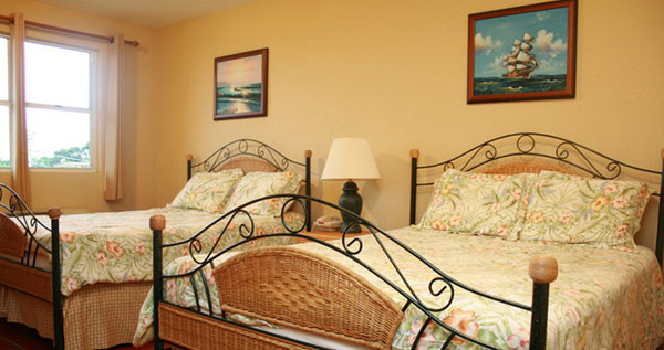 Core.Domain.Models.Image