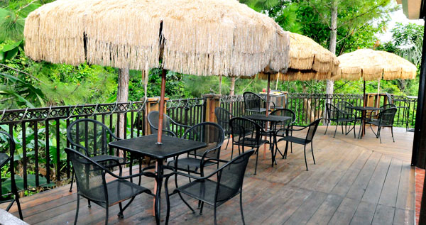 Core.Domain.Models.Image