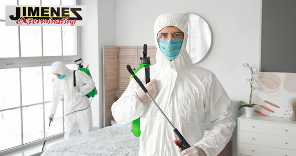 Core.Domain.Models.Image