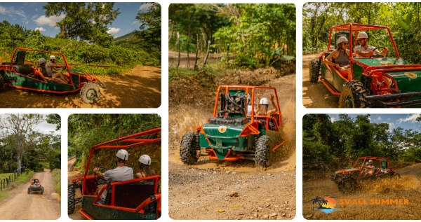 Core.Domain.Models.Image