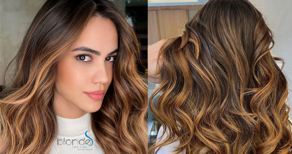 Core.Domain.Models.Image