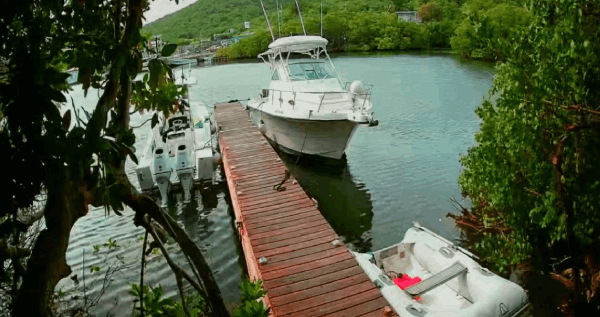 Core.Domain.Models.Image