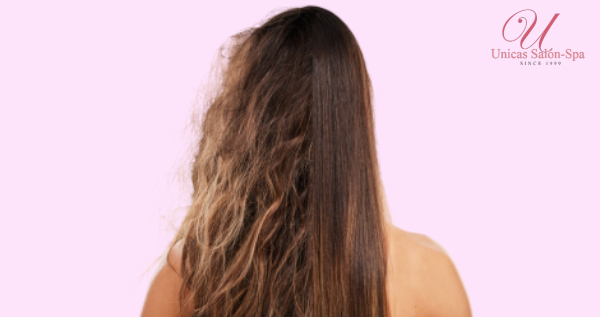 Core.Domain.Models.Image