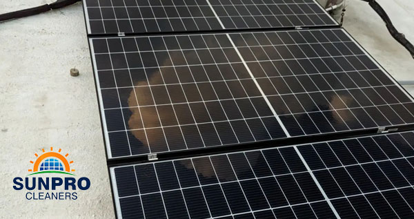 Core.Domain.Models.Image