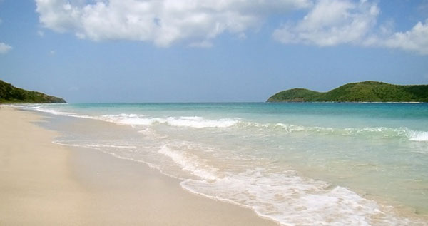 Core.Domain.Models.Image