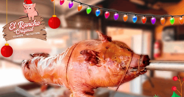 Core.Domain.Models.Image