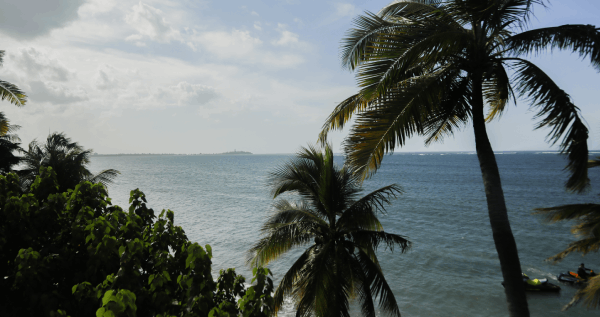 Core.Domain.Models.Image