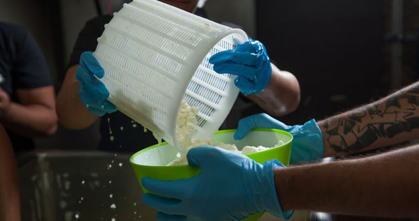 Core.Domain.Models.Image