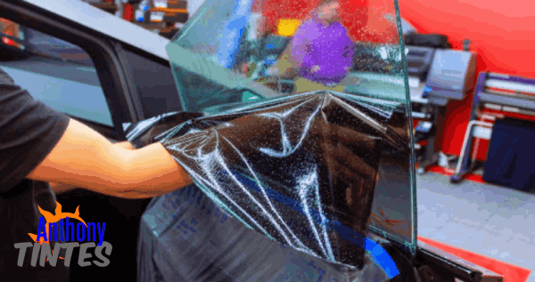 Core.Domain.Models.Image