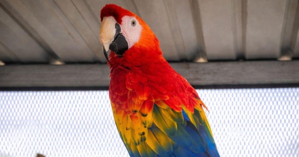 Core.Domain.Models.Image