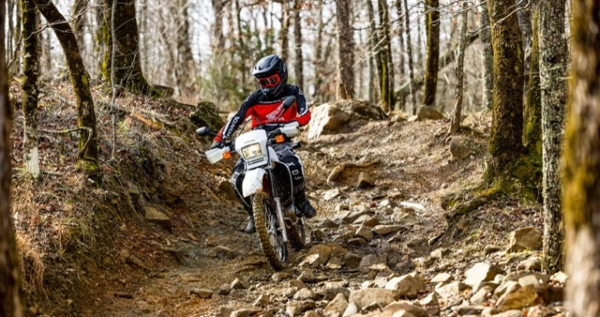 Core.Domain.Models.Image