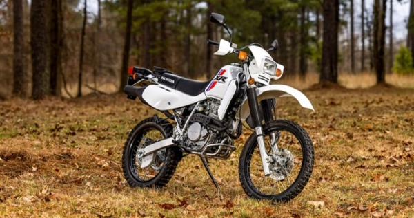 Core.Domain.Models.Image