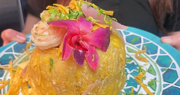 Core.Domain.Models.Image