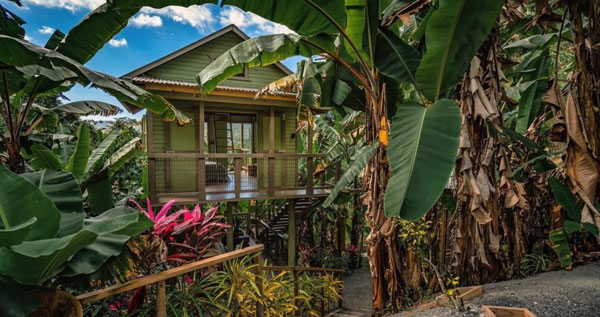 Core.Domain.Models.Image