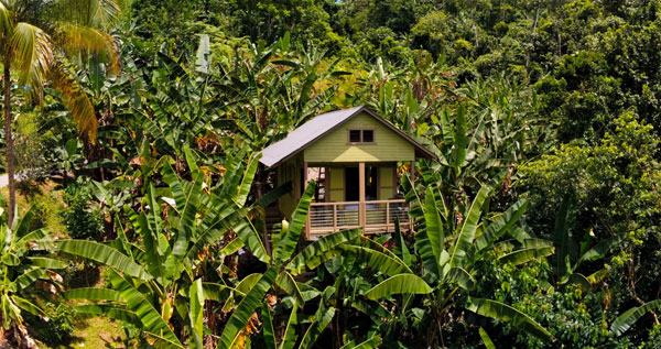 Core.Domain.Models.Image