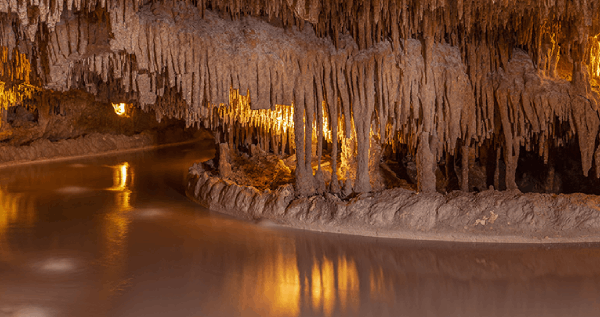 Core.Domain.Models.Image