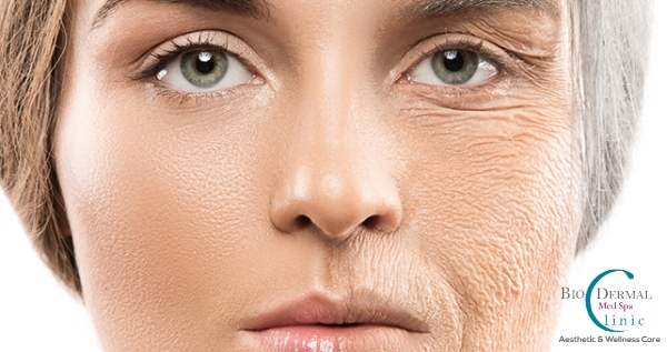 Core.Domain.Models.Image