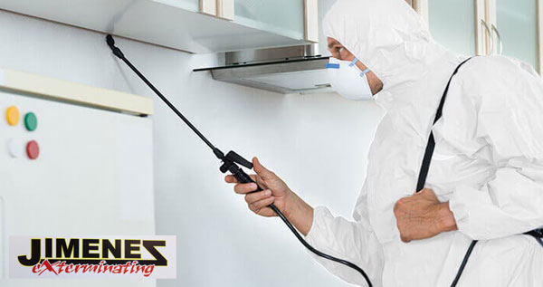 Core.Domain.Models.Image