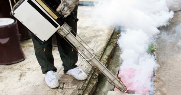 Core.Domain.Models.Image