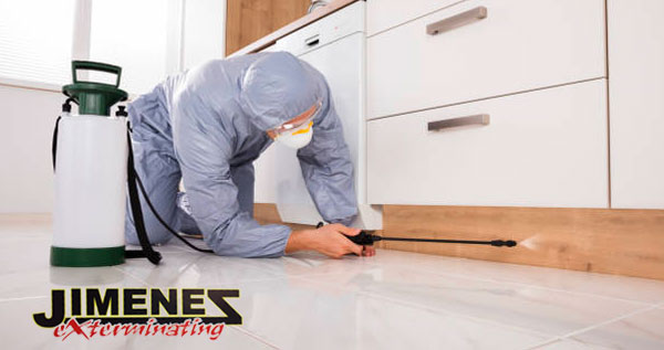 Core.Domain.Models.Image