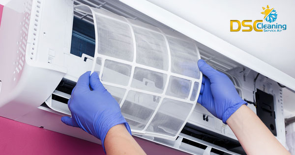 Core.Domain.Models.Image