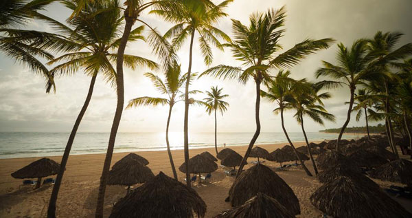 Core.Domain.Models.Image