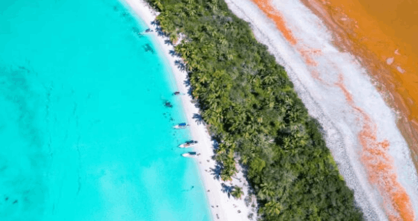 Core.Domain.Models.Image