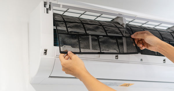 Core.Domain.Models.Image