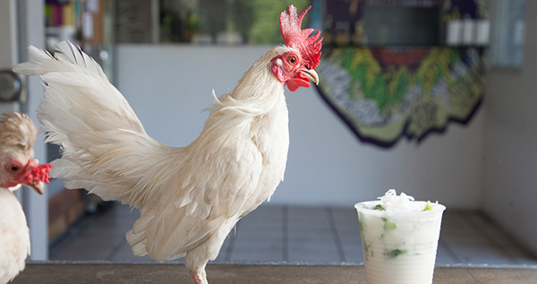 Core.Domain.Models.Image