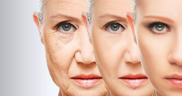 Core.Domain.Models.Image