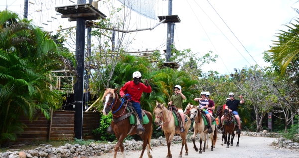 Core.Domain.Models.Image