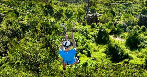 Core.Domain.Models.Image