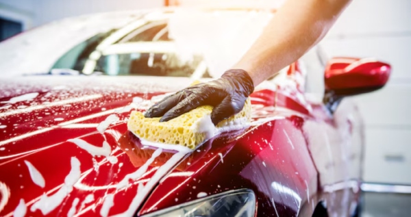 Core.Domain.Models.Image