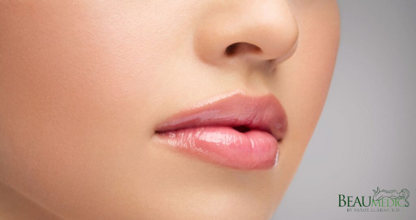 Core.Domain.Models.Image