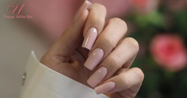 Core.Domain.Models.Image