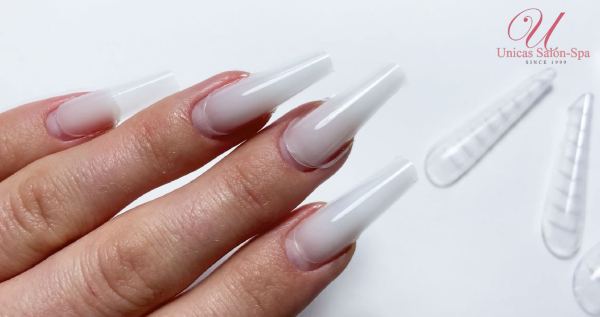 Core.Domain.Models.Image