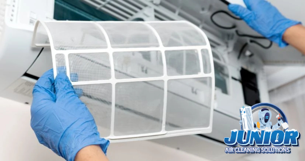 Core.Domain.Models.Image