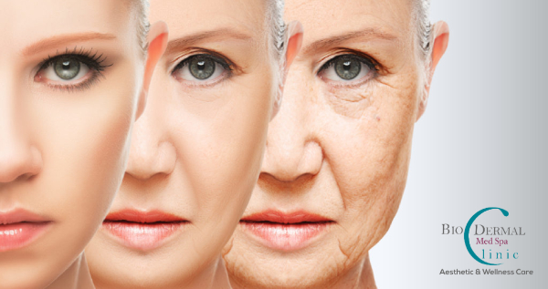 Core.Domain.Models.Image