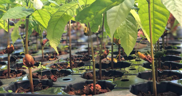 Core.Domain.Models.Image