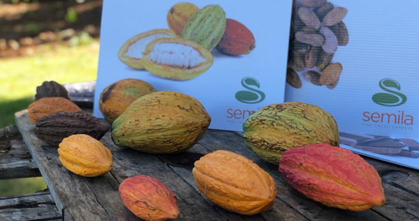 Core.Domain.Models.Image