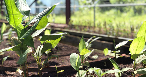 Core.Domain.Models.Image